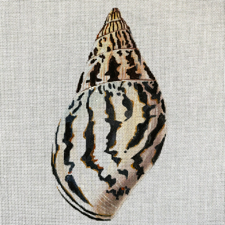 Colors of Praise Seashell Back CN-COP-MC505 7.5
