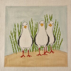 3 Standing Seagulls - 13