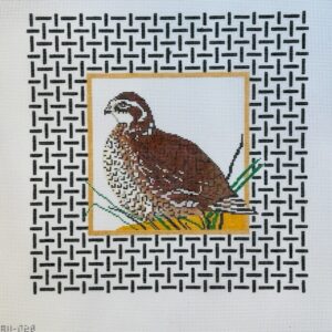 Red Tail Hawk