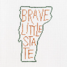 Brave Little State Outline