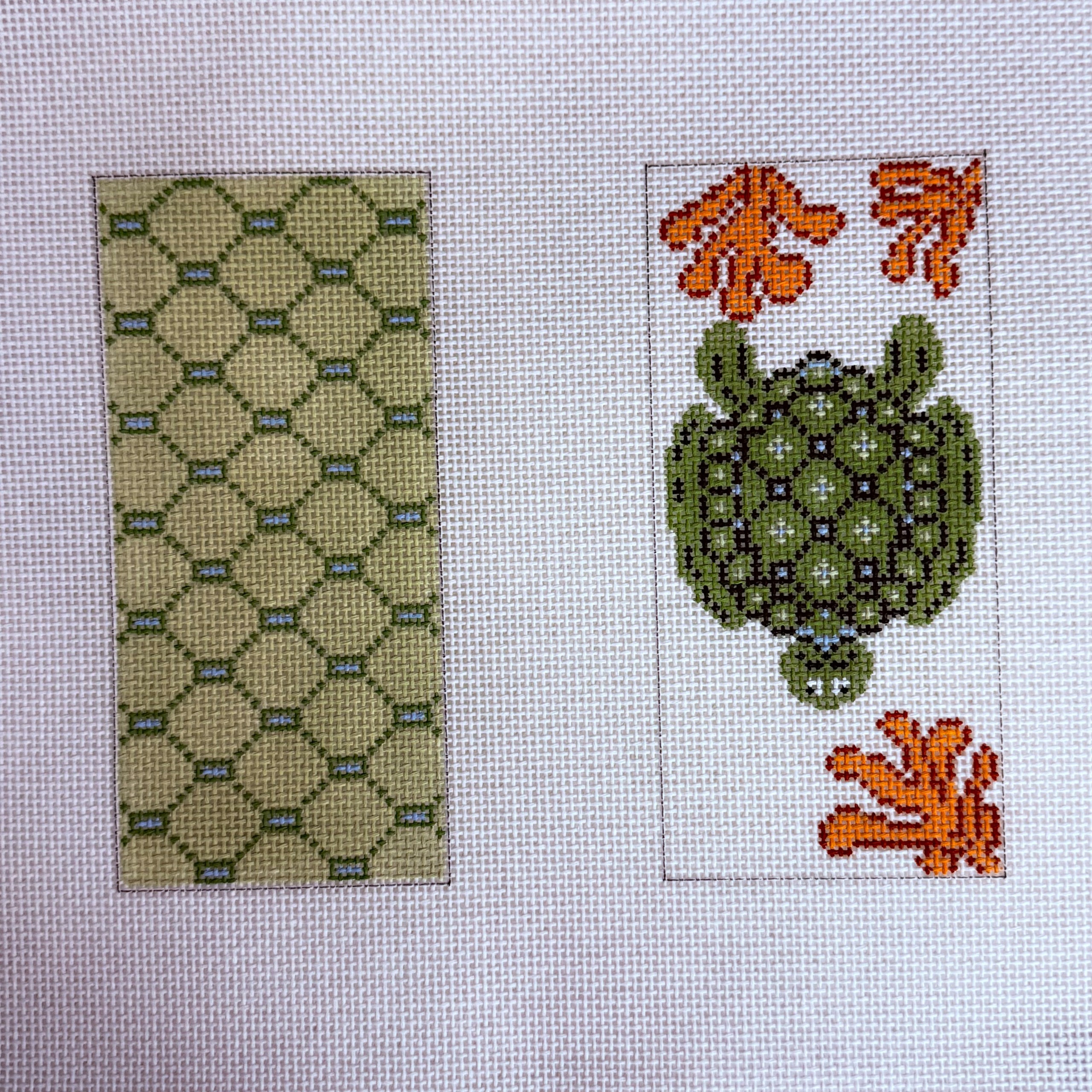 Turtle Eyeglass Case