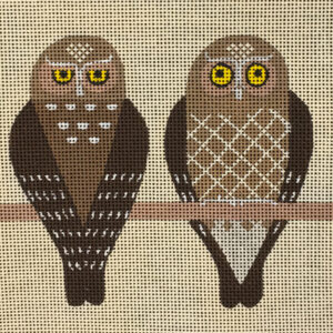 2 Owls
